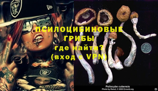 мдпв Бугульма