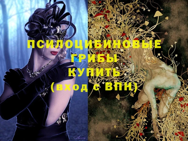 скорость Бронницы