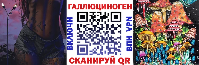 Купить где  Верхний Тагил  Галлюциногенные грибы Psilocybine cubensis 